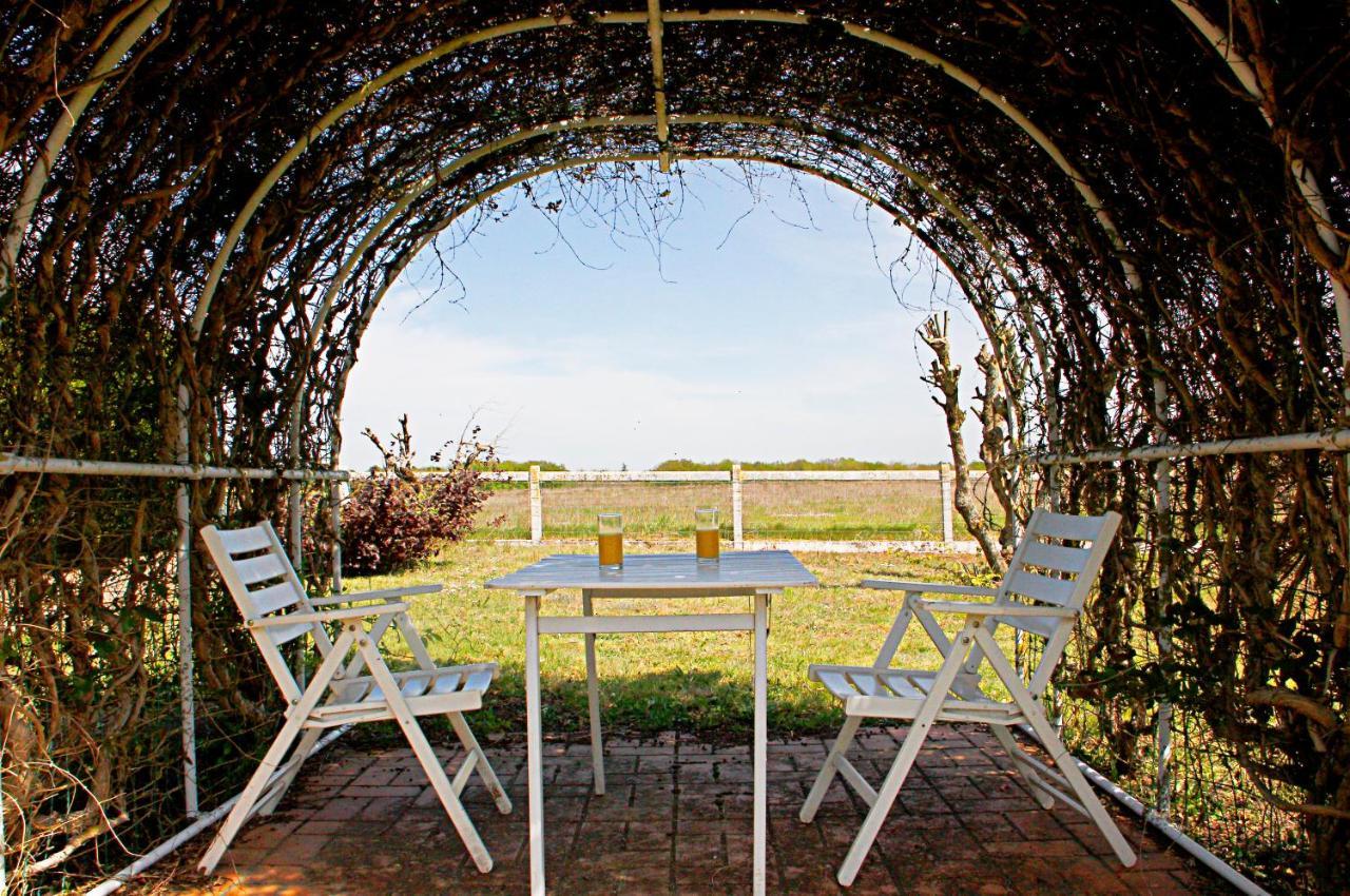 La Veuzaine Bed & Breakfast Onzain Luaran gambar