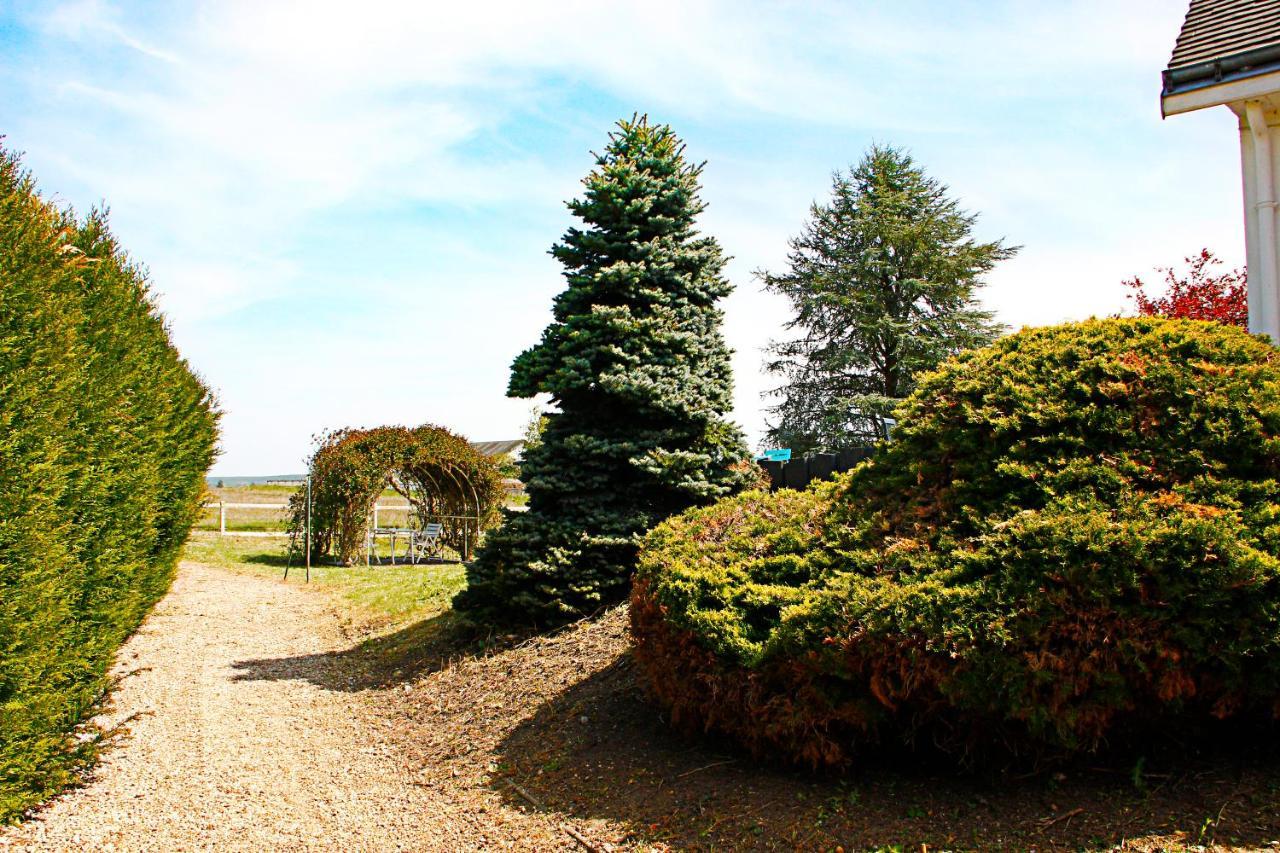 La Veuzaine Bed & Breakfast Onzain Luaran gambar