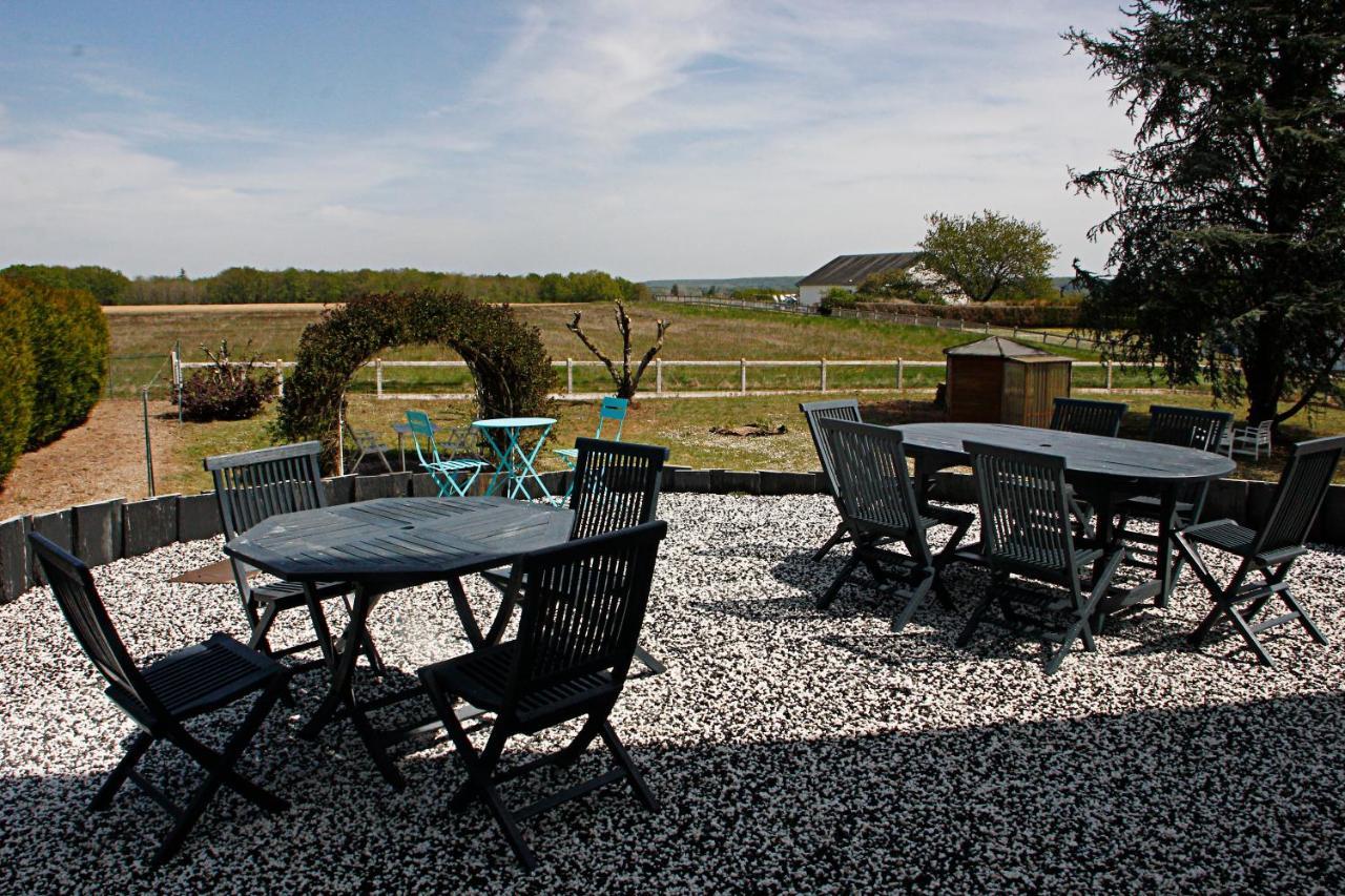 La Veuzaine Bed & Breakfast Onzain Luaran gambar